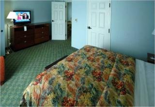 Hotel La Quinta Inn Tampa Busch Gardens