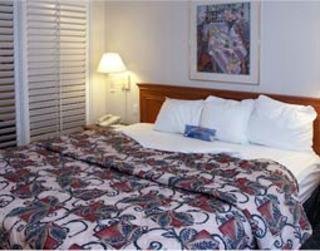 Hotel Laquinta Dfw Airport North-irving