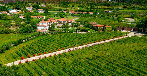 Hotel Lavandeira Douro Nature Wellness