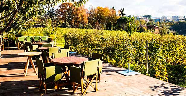 Hotel Lavandeira Douro Nature Wellness