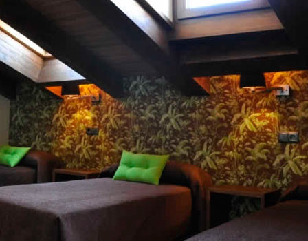 Hotel Le Petit León