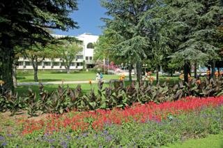 Hotel Lebed
