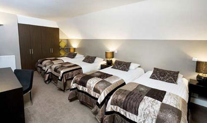 Hotel Leeson Inn Downtown