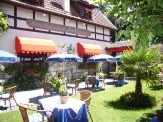 Hotel Les Cygnes