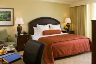 Hotel Limelight Lodge