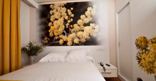 Hotel Lino