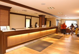Hotel Lion