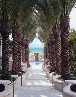 Hotel Loews Miami Beach