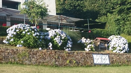Hotel Los Duques