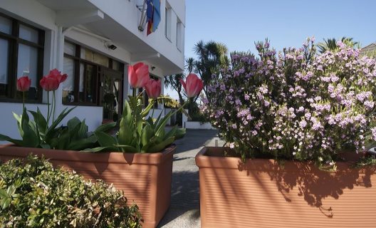 Hotel Los Laureles