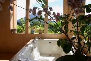 Hotel Lost Iguana Resort & Spa