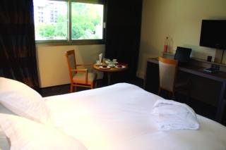 Hotel Lyon Metropole & Spa