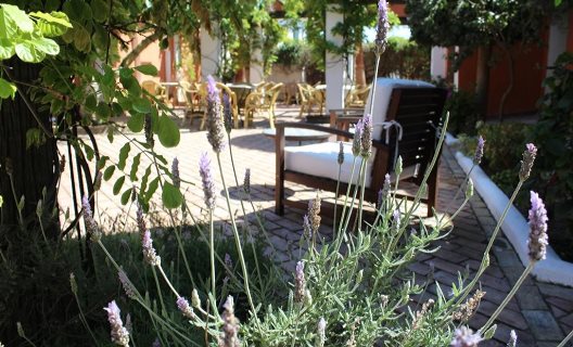 Hotel Madreselva