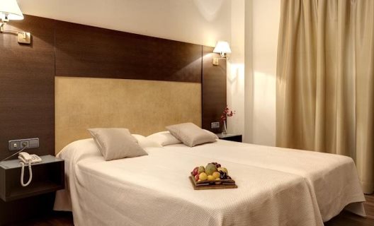 Hotel Madrid Torrejon Plaza