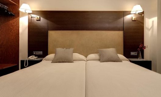 Hotel Madrid Torrejon Plaza