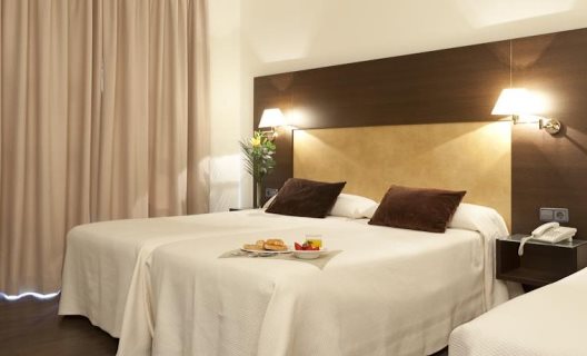 Hotel Madrid Torrejon Plaza