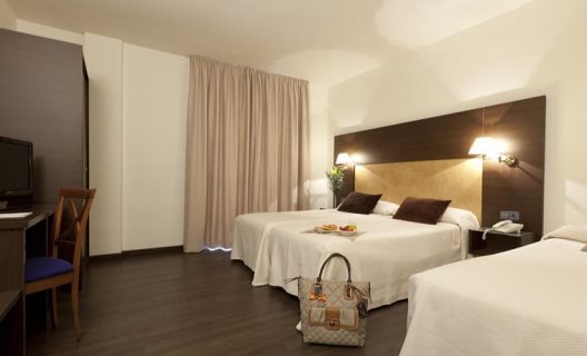 Hotel Madrid Torrejon Plaza