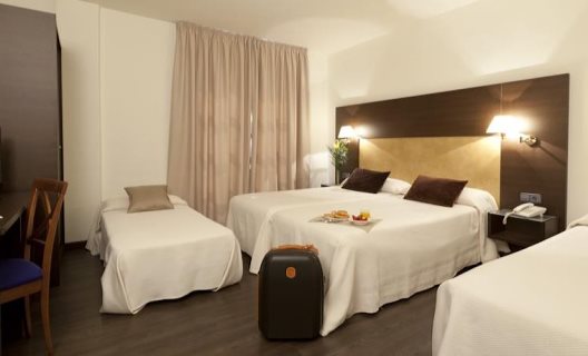 Hotel Madrid Torrejon Plaza