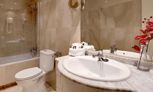 Hotel Madrid Torrejon Plaza