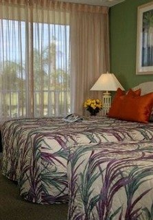 Hotel Magic Tree Resort