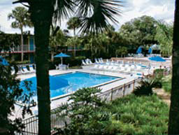 Hotel Magic Tree Resort