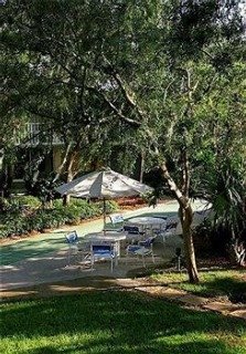 Hotel Magic Tree Resort