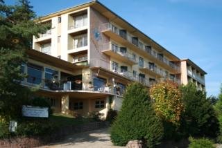 Hotel Majestik Trois Epis