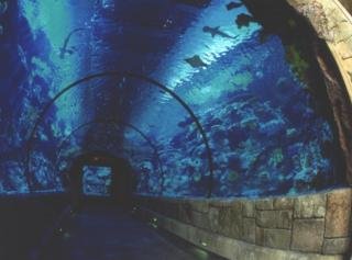 Hotel Mandalay Bay Resort Casino