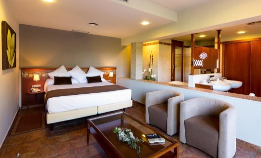 Hotel Mas De La Sala