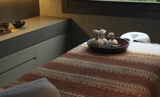 Hotel Mas De Torrent Spa