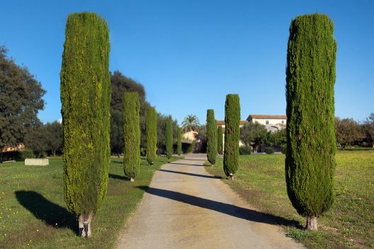 Hotel Mas Falgarona