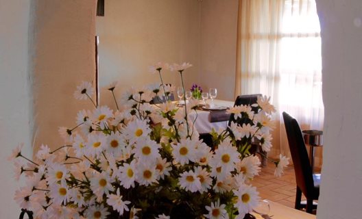 Hotel Mas Prades