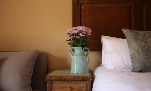 Hotel Mas Salagros Ecoresort & Aire Ancient Baths
