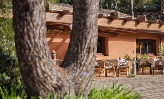 Hotel Mas Ses Vinyes