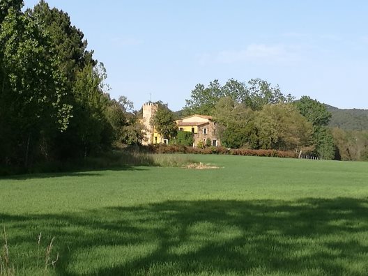 Hotel Mas Vilalonga Petit