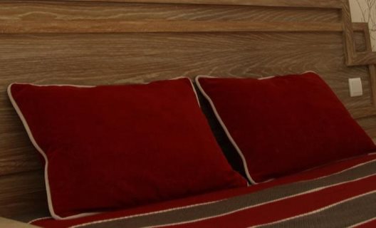 Hotel Melius