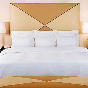 Hotel Memphis Marriott Downtown