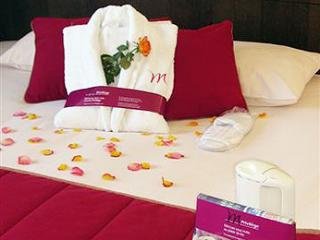 Hotel Mercure Angers Lac De Maine