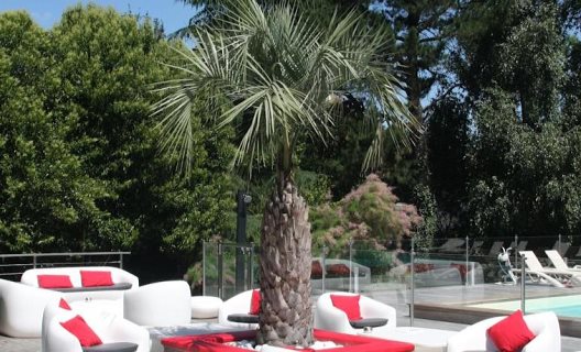 Hotel Mercure Bordeaux Le Lac