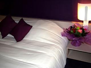 Hotel Mercure Chambery Centre