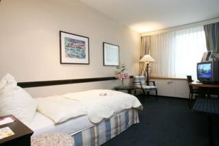 Hotel Mercure Europe