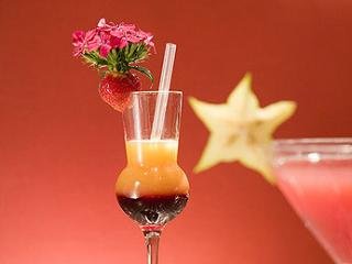 Hotel Mercure Frankfurt Airport