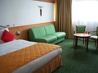 Hotel Mercure Mulhouse Sausheim
