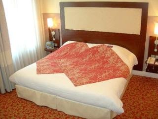 Hotel Mercure Nancy Centre Stanislas