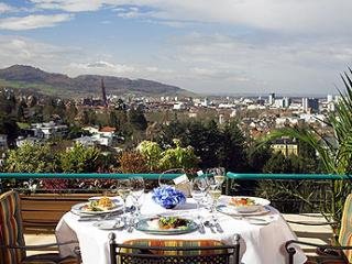 Hotel Mercure Panorama Freiburg
