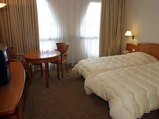 Hotel Mercure Paris Orly Rungis
