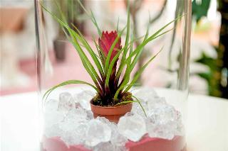 Hotel Mercure Roma West
