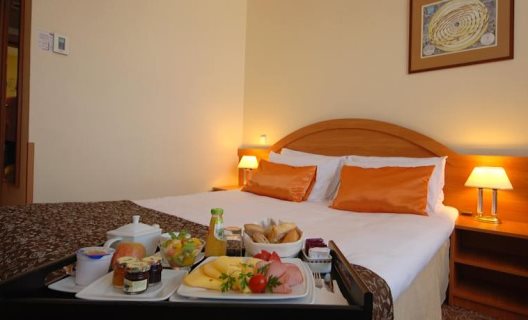 Hotel Mercure Torun Centrum