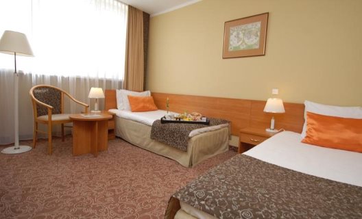 Hotel Mercure Torun Centrum