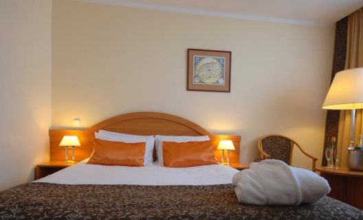 Hotel Mercure Torun Centrum